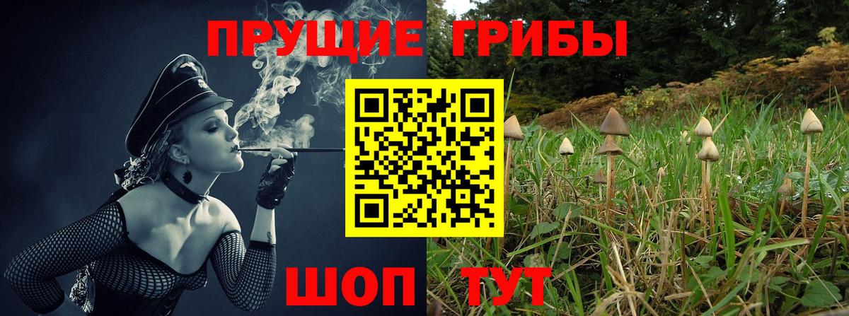 Галлюциногенные грибы ЛСД  Галлюциногенные грибы Psilocybe  закладки  Гусиноозёрск  Вход с VPN 